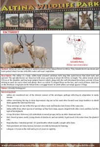 Addax Fact Sheet